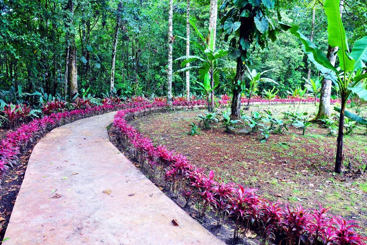 Hosteria Finca El Pigual Puyo Eksteriør billede